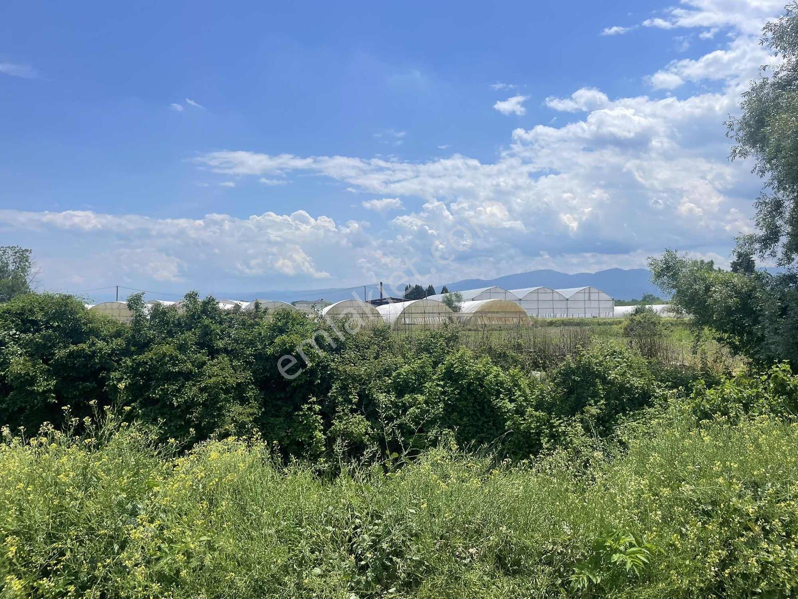 Erenler Sarıcalarda Fabrikalar Bölgesinde 1060m2 Fırsat - Görsel 31