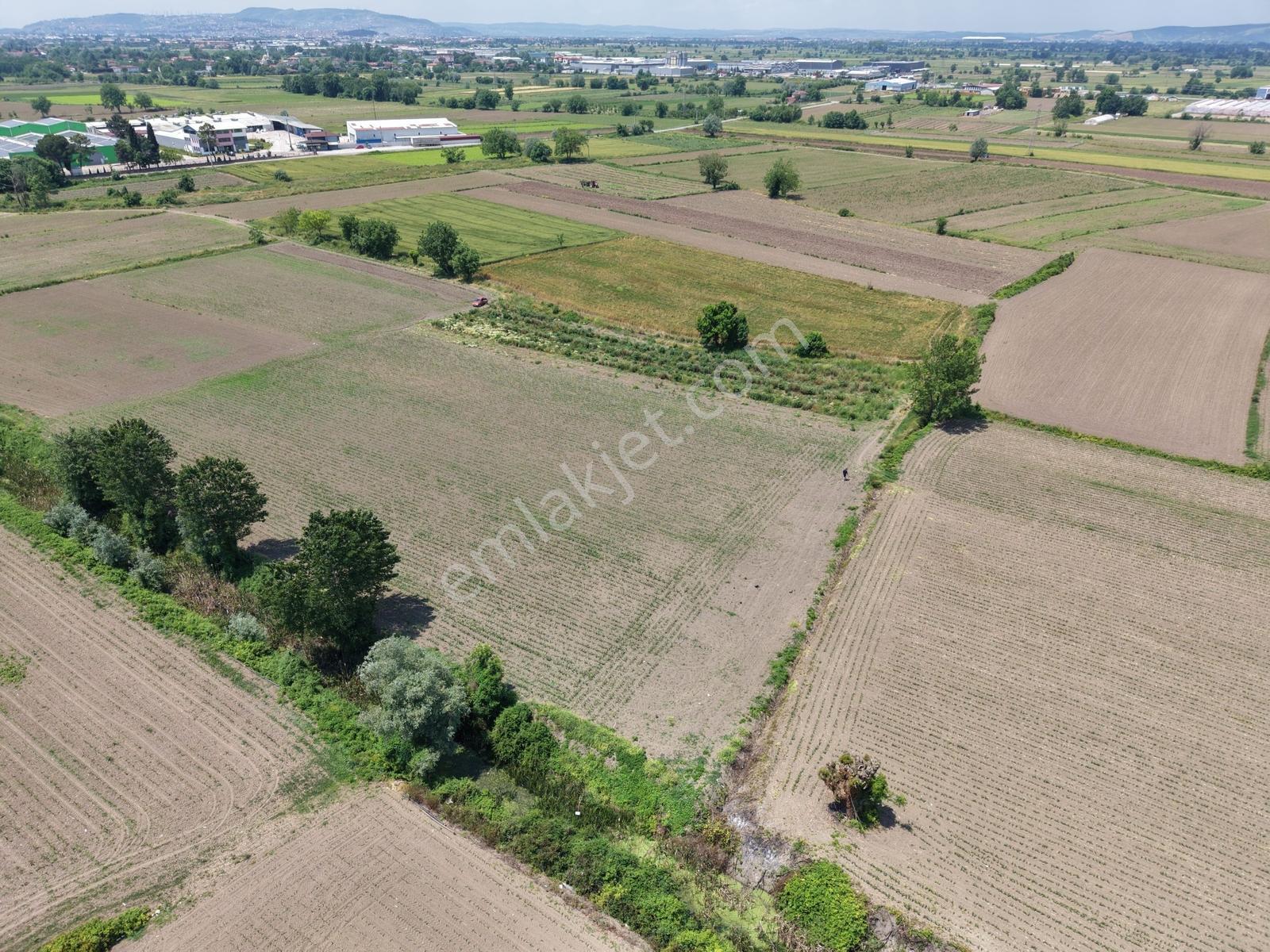 Erenler Sarıcalarda Fabrikalar Bölgesinde 1060m2 Fırsat - Görsel 2
