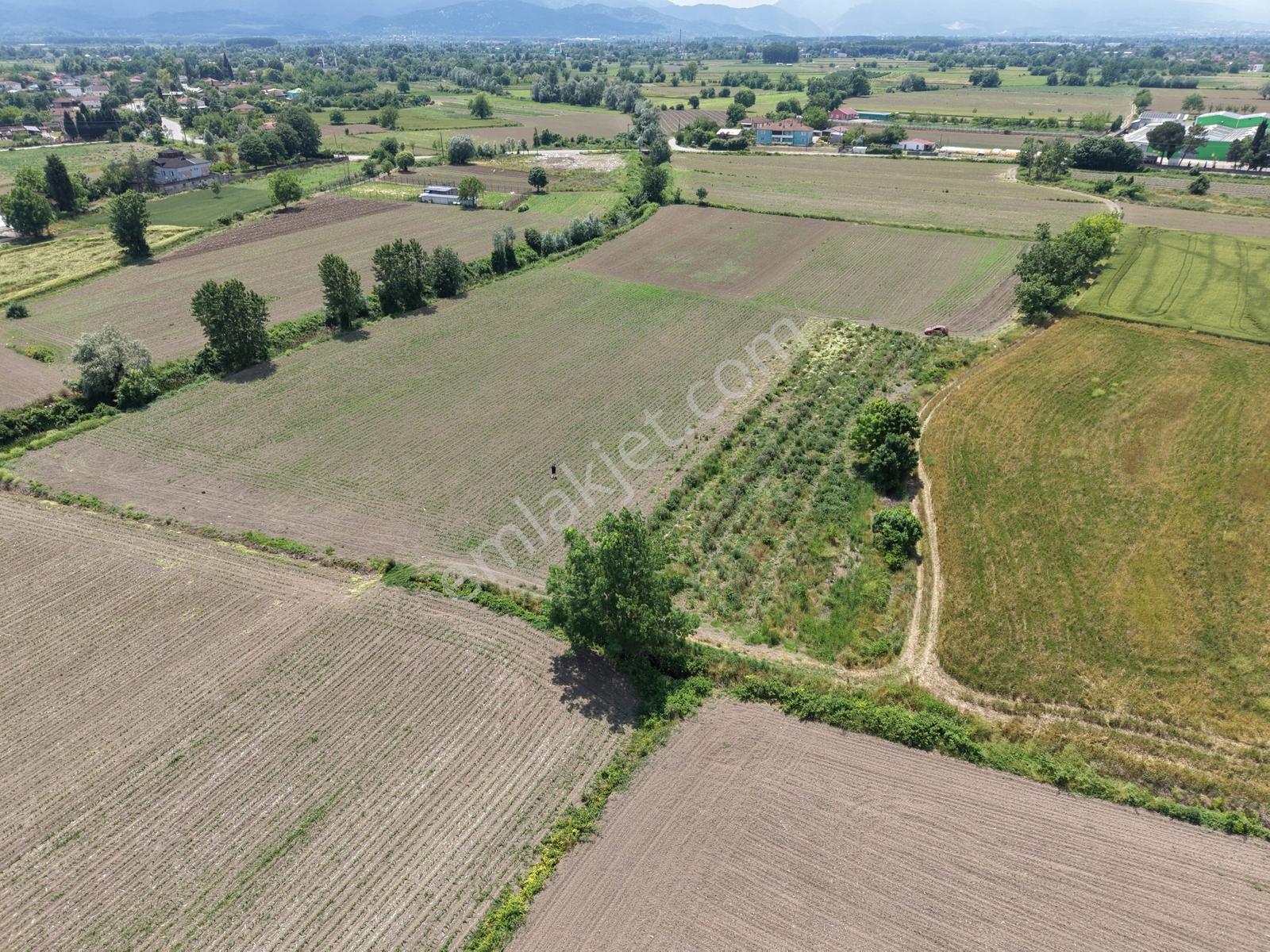 Erenler Sarıcalarda Fabrikalar Bölgesinde 1060m2 Fırsat - Görsel 5