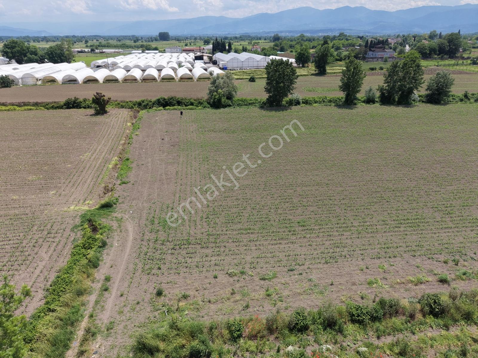 Erenler Sarıcalarda Fabrikalar Bölgesinde 1060m2 Fırsat - Görsel 15