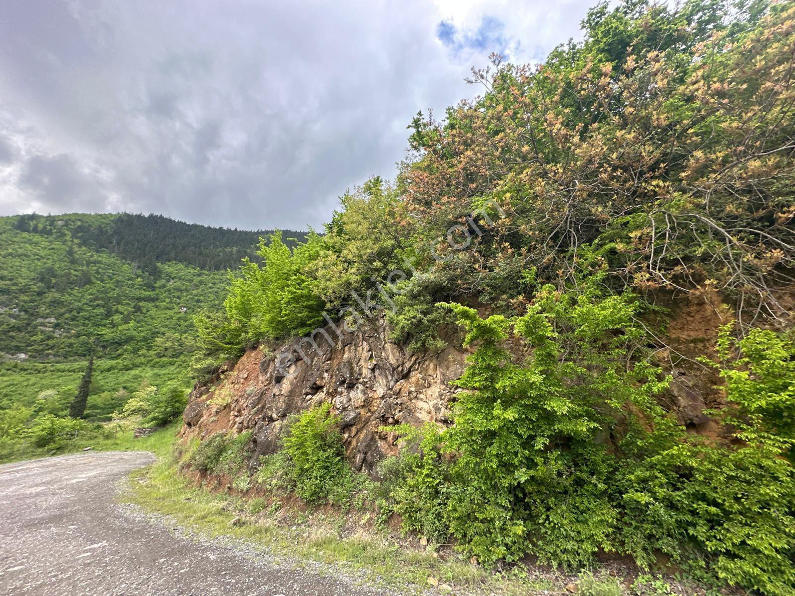 Trabzon Maçka'da Satılık Arazi - Görsel 13