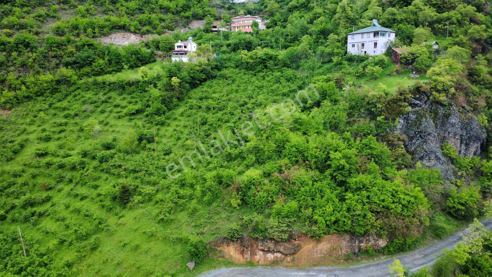 Trabzon Maçka'da Satılık Arazi - Görsel 25