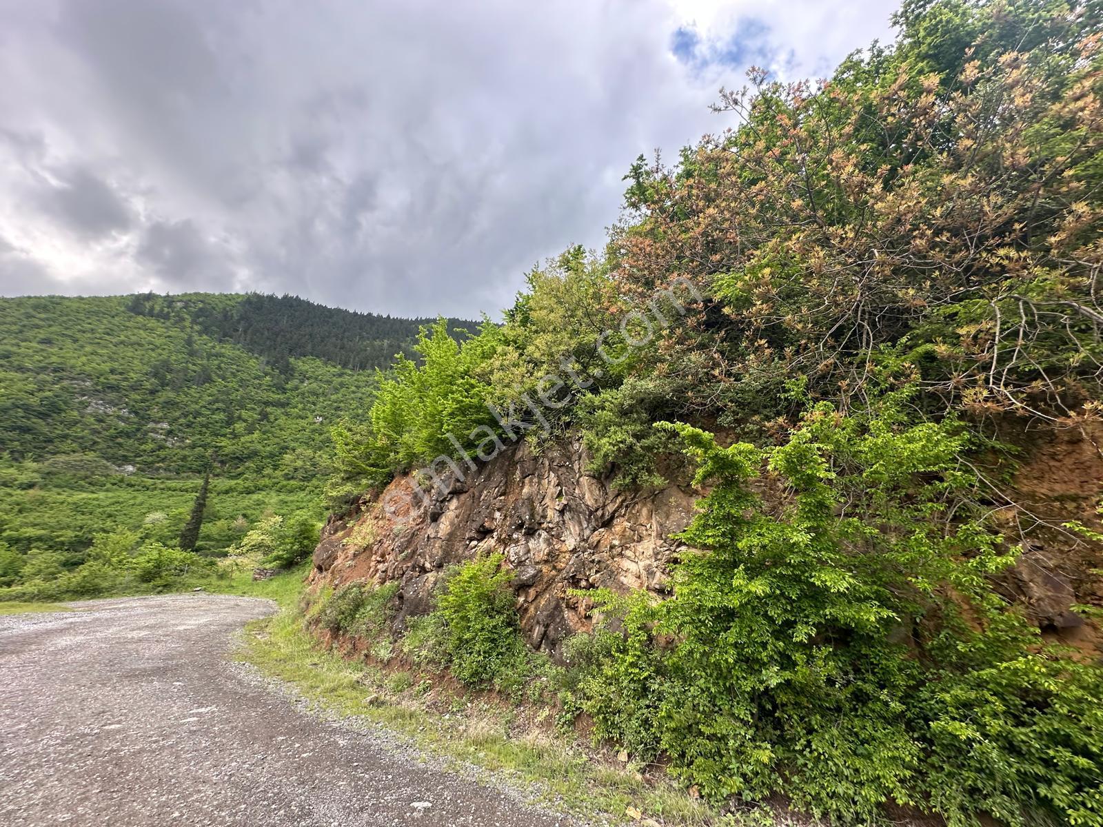 Trabzon Maçka'da Satılık Arazi - Görsel 6