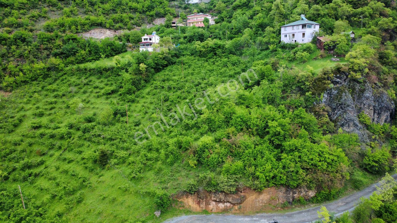 Trabzon Maçka'da Satılık Arazi - Görsel 11