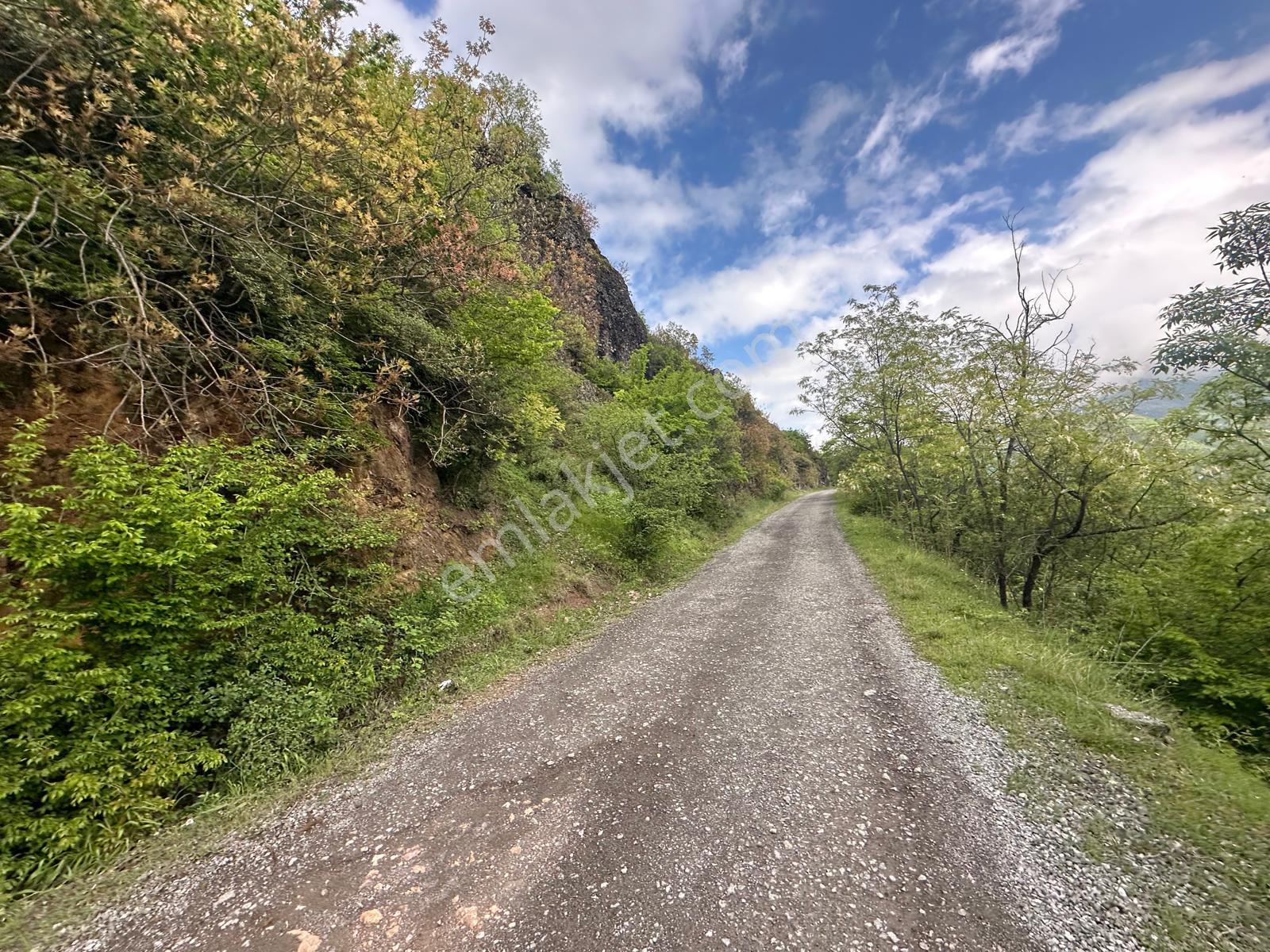 Trabzon Maçka'da Satılık Arazi - Görsel 18