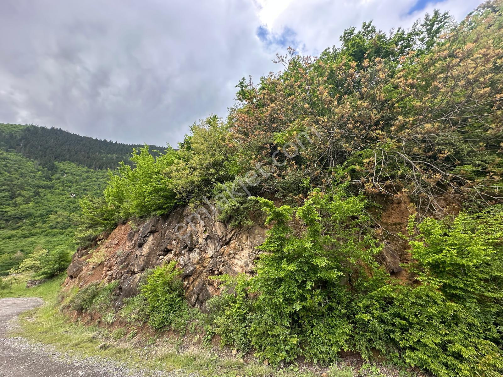 Trabzon Maçka'da Satılık Arazi - Görsel 21