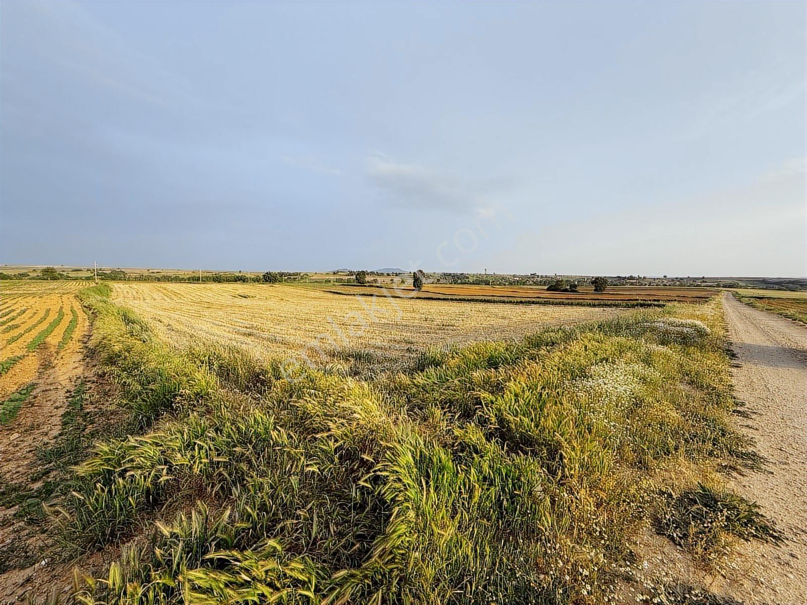 İpsala Aliçopehlivan Köyü Yol Üstünde Düz 7.045 M2 Satılık Tarla - Görsel 9