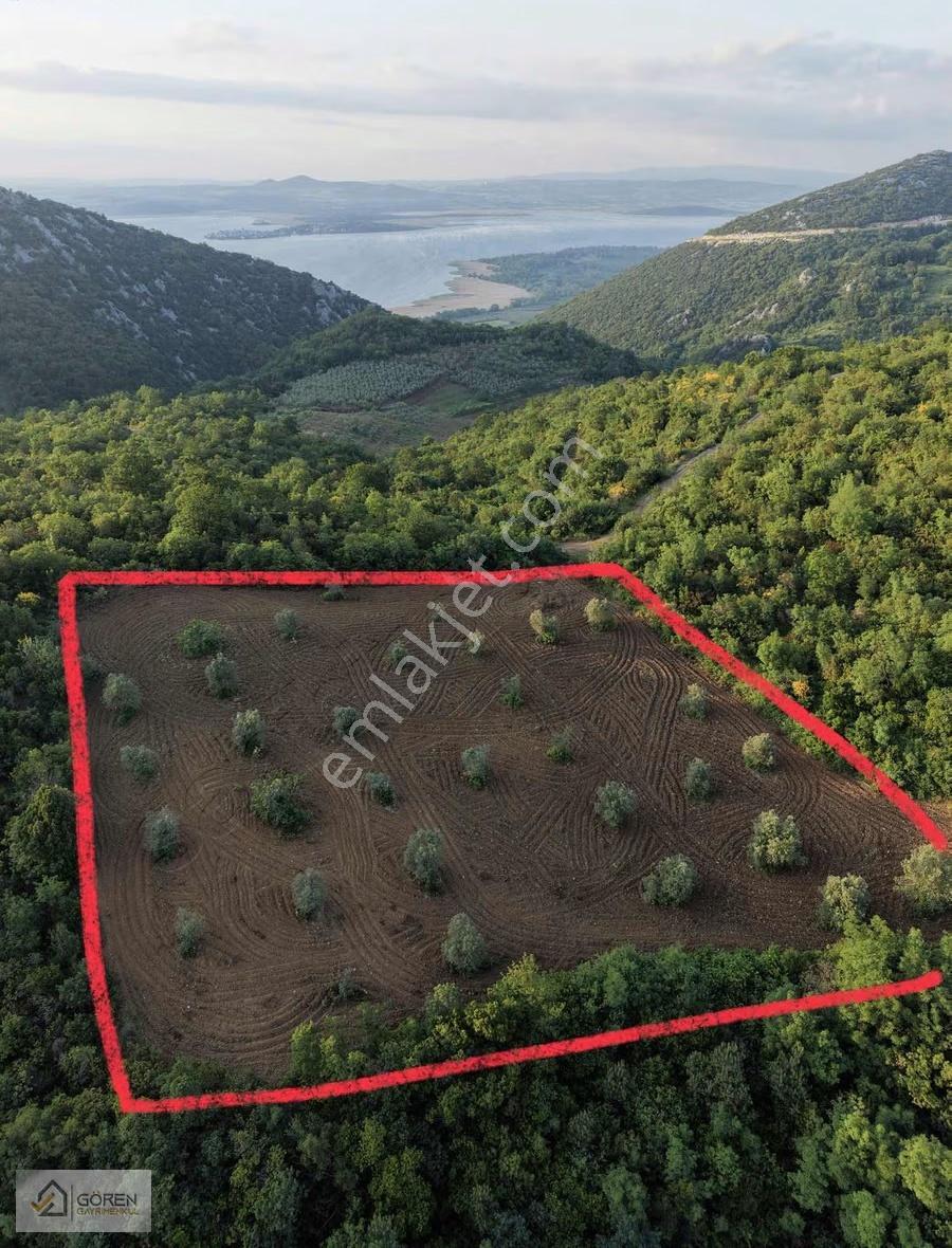Ayva Köyde Göl Manzaralı Tek Tapu Tarla