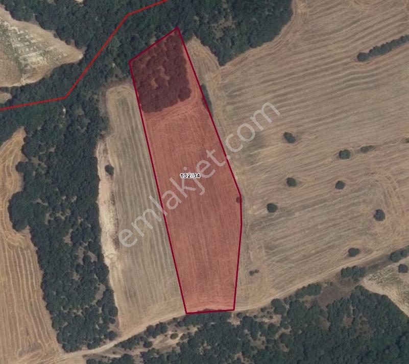 Satılık Lüleburgaz Kırıkköy'de 14 Dönüm Tek Tapu