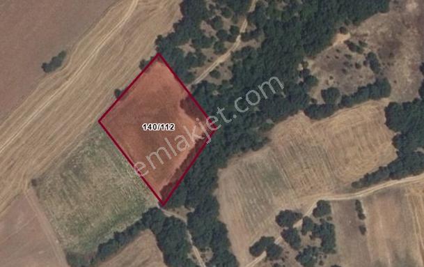 Satılık Lüleburgaz Kırıkköy'de 3600 M² Tek Tapu - Görsel 5