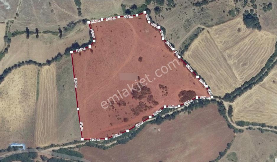 Balıkesir Sındırgı Osmanlar'da Yola Cephe 26.814m2 Fırsat Tarla - Görsel 3