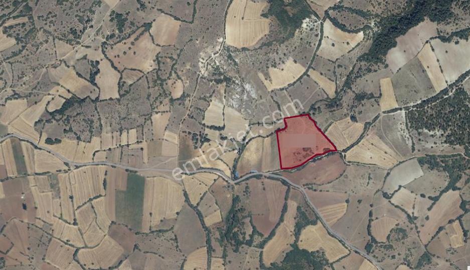 Balıkesir Sındırgı Osmanlar'da Yola Cephe 26.814m2 Fırsat Tarla