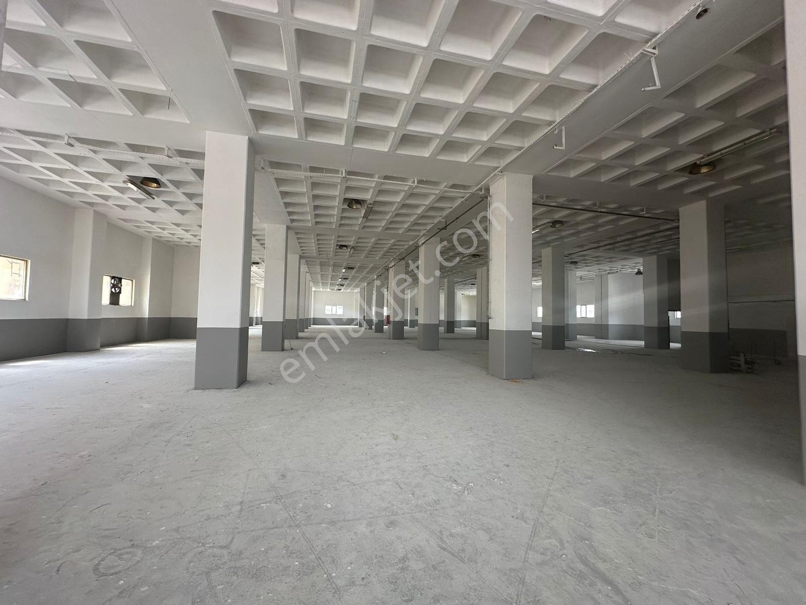 Beylikdüzü Osb 5400 M2 Rampalı 1 . Kat Ve Çatı İşyeri - Görsel 3