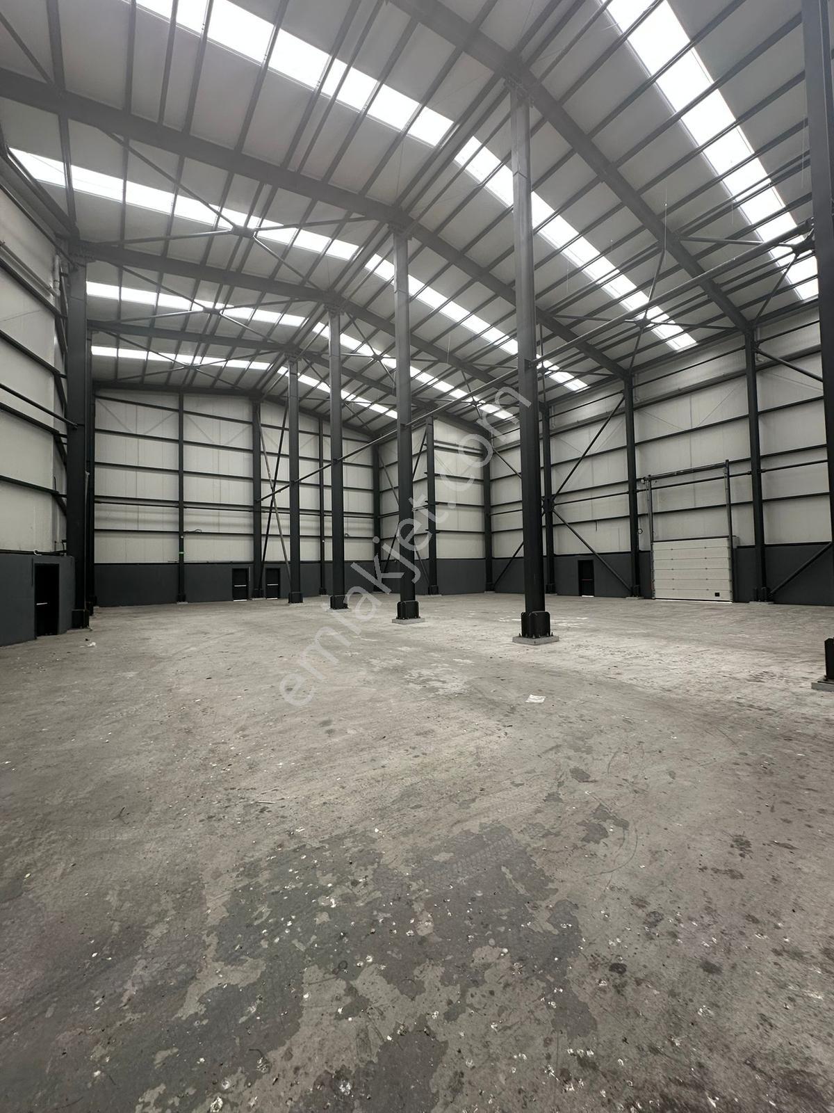 Beylikdüzü Osb'de H 13 M 1100m2 Kapalı Alan Tek Katlı Kiralık Mü - Görsel 3