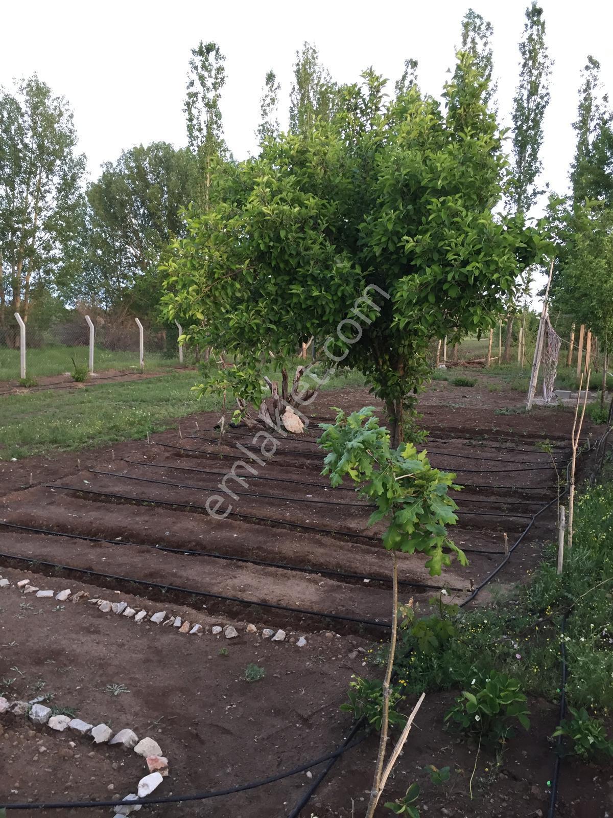 Akören Tülce 729 M2 Müstakil Tapu Satılık Bahçe - Görsel 10