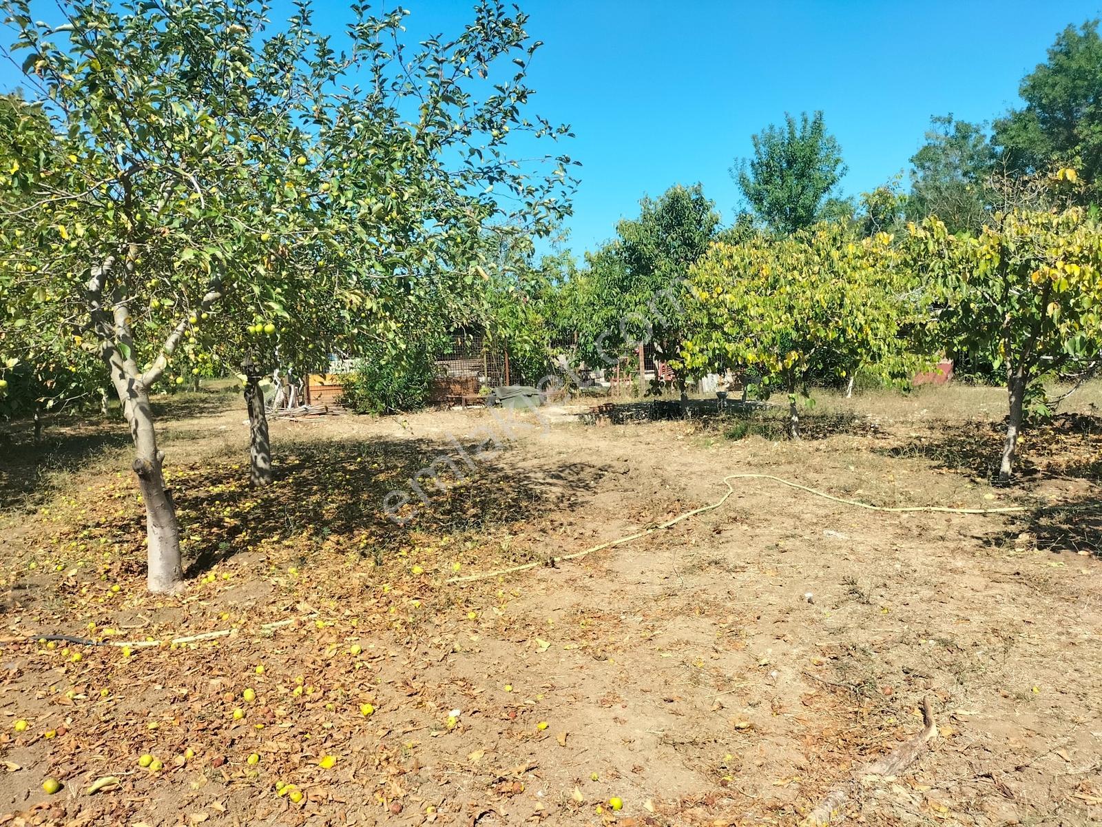 Yetiş Al Dan Kumbaba Şile Oto Yoluna Cephe 3.280 M2 Satılık Arsa - Görsel 28