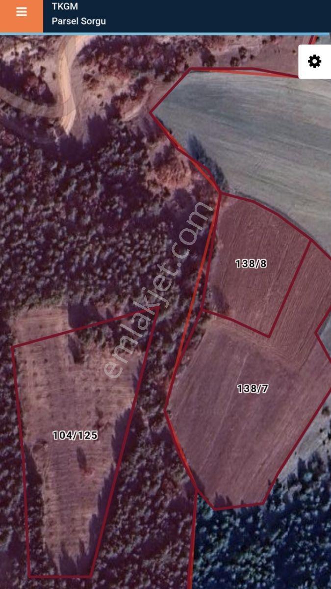 Adaplatin'den Taraklı Pirler'de 7022m2 Ceviz Fidanı Dikili Tarla - Görsel 4