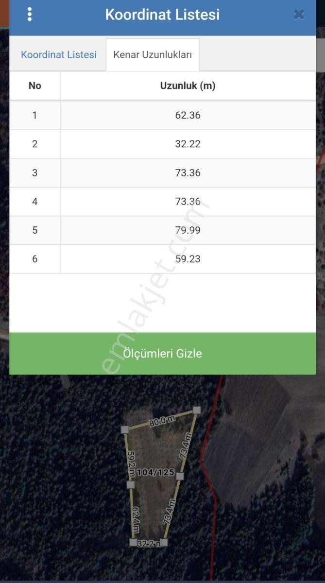 Adaplatin'den Taraklı Pirler'de 7022m2 Ceviz Fidanı Dikili Tarla - Görsel 10