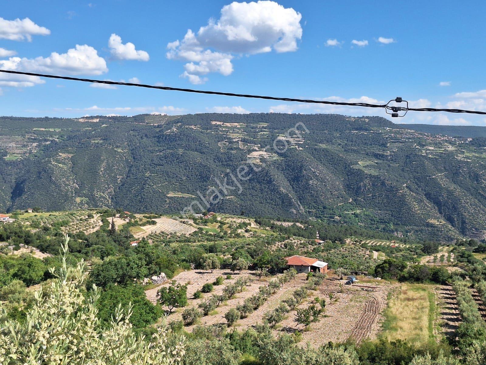 Nehirden Güney 3 Eylülde Satılık Müstakil Ev Ve Bahçesi - Görsel 3