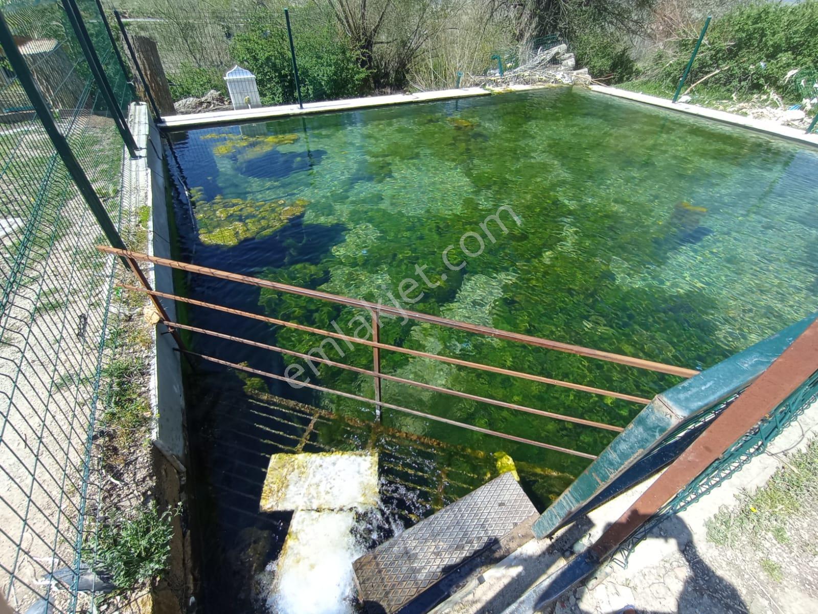 Müstakil Tapulu Satılık Bahçe - Görsel 6