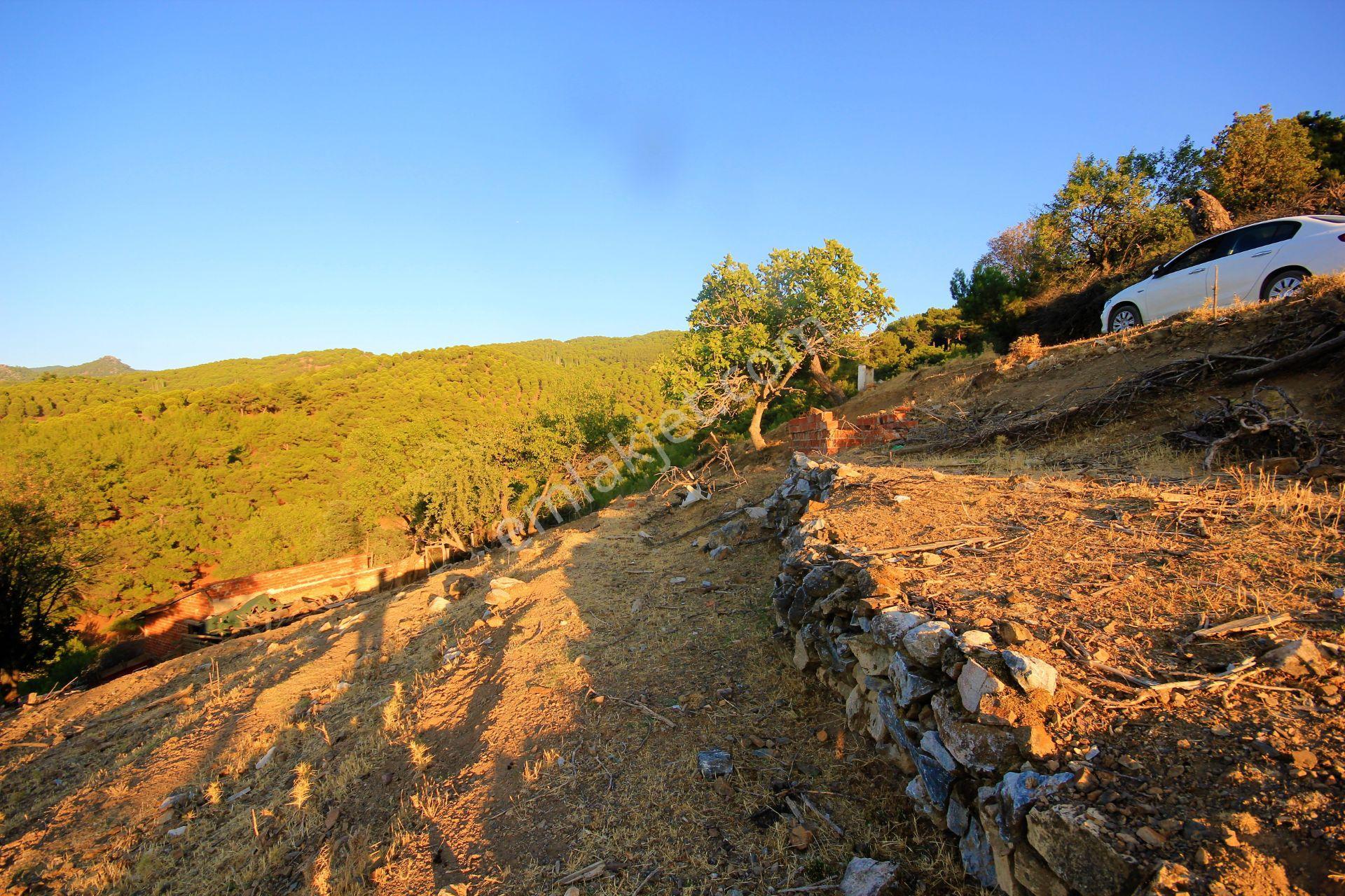 🟥aktiften Burhaniye Kuyumcuda Deniz Ve Doğa Manzaralı 878 M2 Satılık Arsa - Görsel 30
