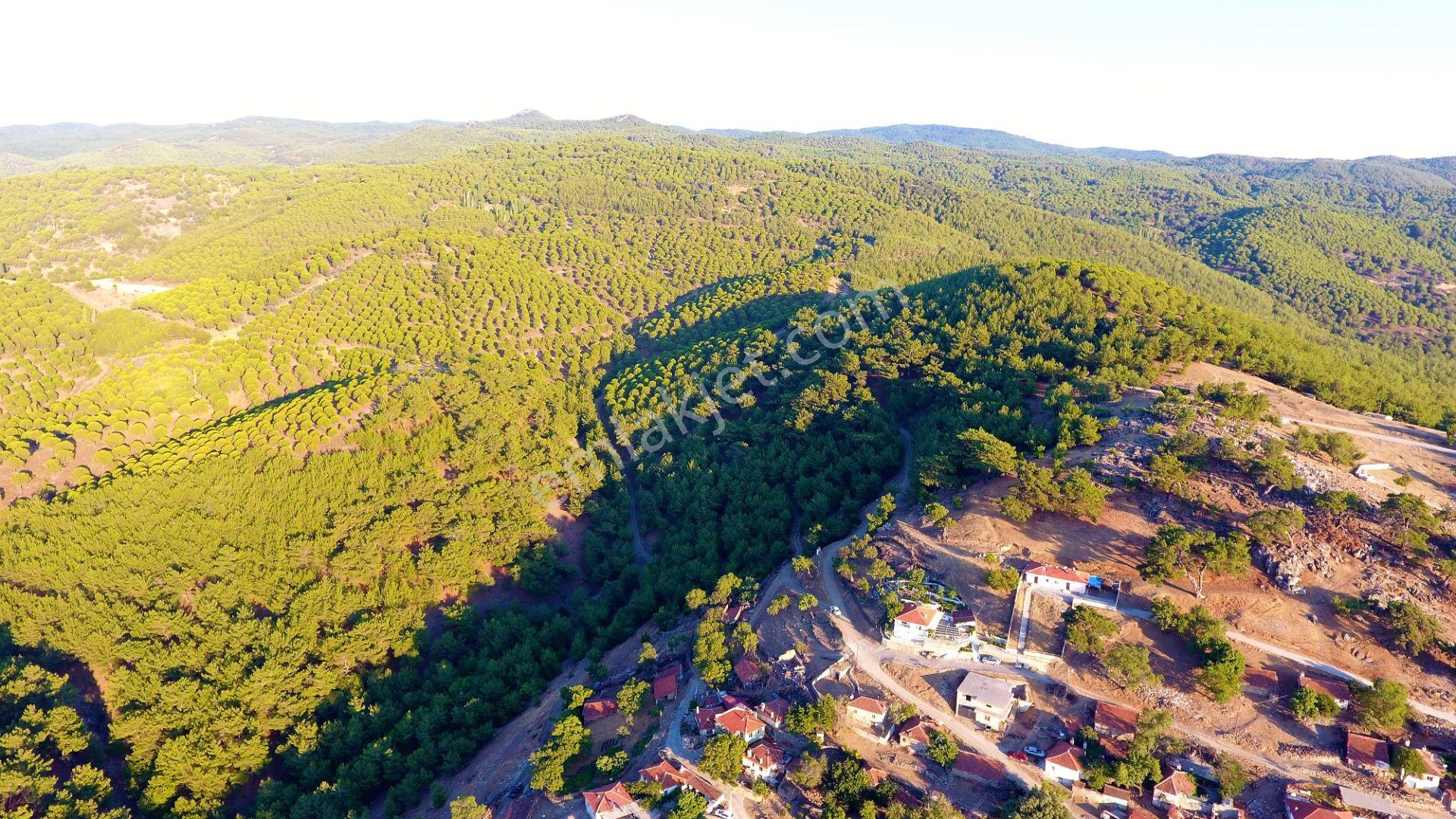 🟥aktiften Burhaniye Kuyumcuda Deniz Ve Doğa Manzaralı 878 M2 Satılık Arsa - Görsel 9