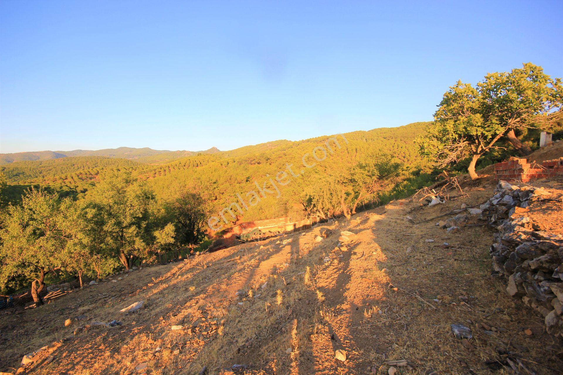 🟥aktiften Burhaniye Kuyumcuda Deniz Ve Doğa Manzaralı 878 M2 Satılık Arsa - Görsel 29