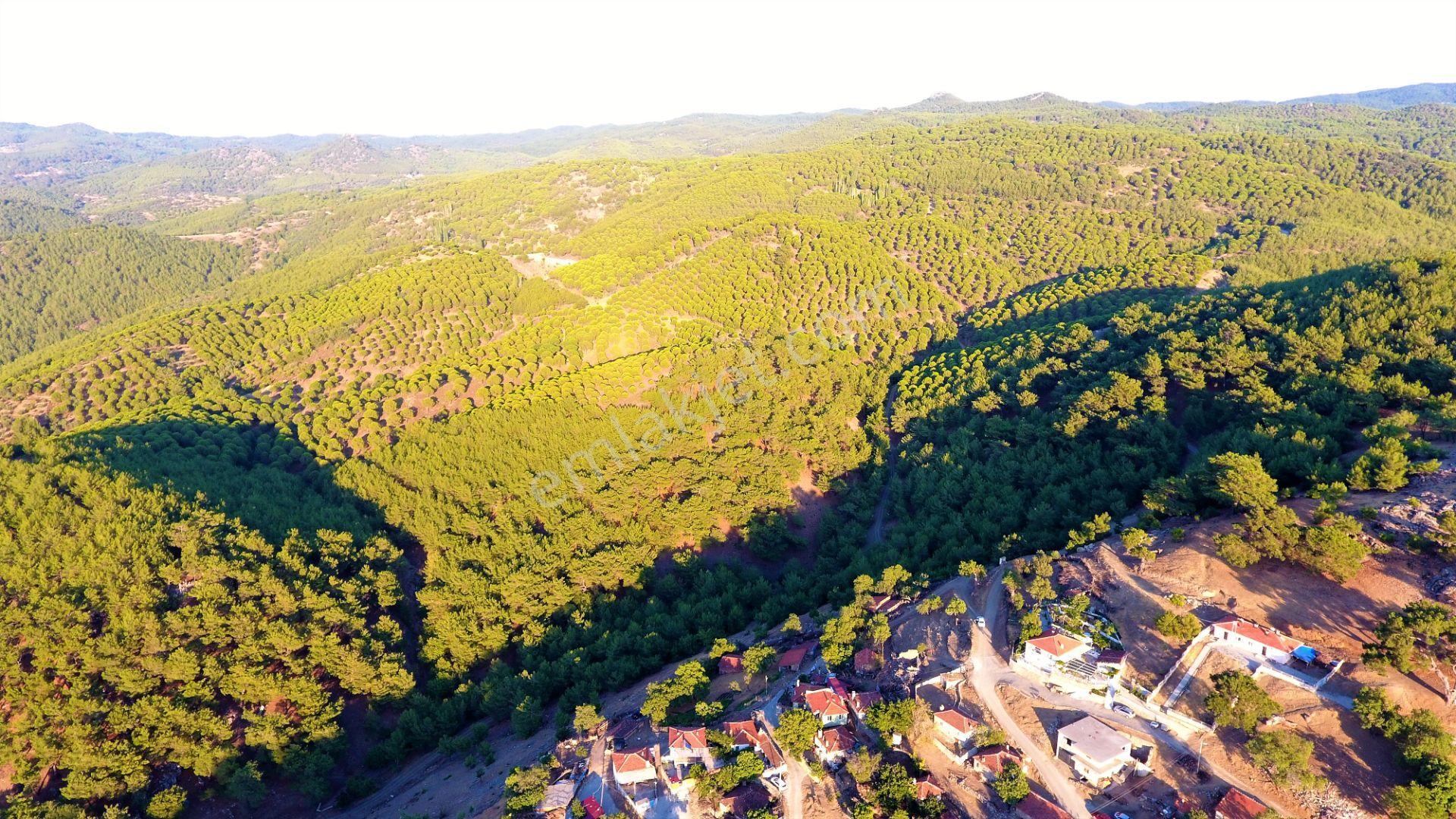 🟥aktiften Burhaniye Kuyumcuda Deniz Ve Doğa Manzaralı 878 M2 Satılık Arsa - Görsel 12