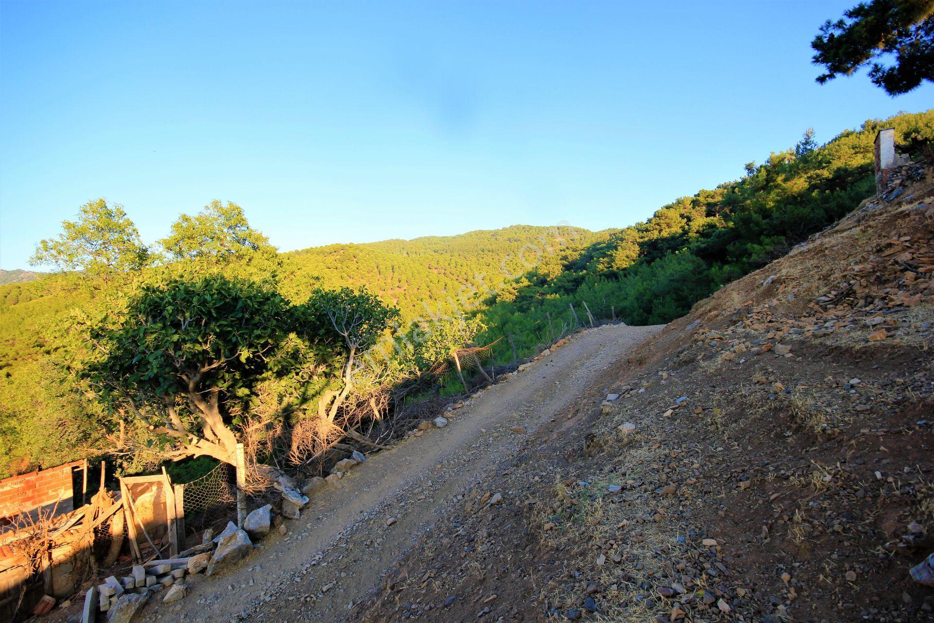 🟥aktiften Burhaniye Kuyumcuda Deniz Ve Doğa Manzaralı 878 M2 Satılık Arsa - Görsel 23