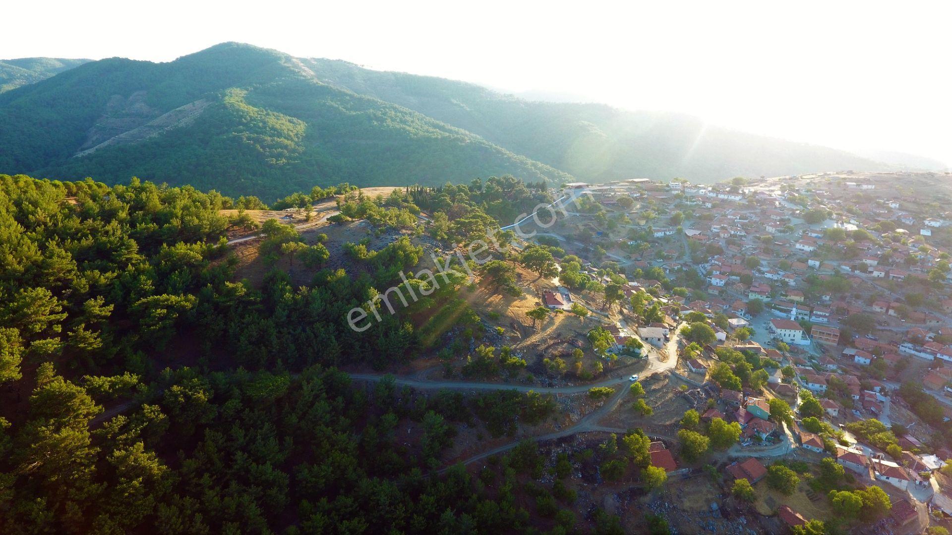 🟥aktiften Burhaniye Kuyumcuda Deniz Ve Doğa Manzaralı 878 M2 Satılık Arsa - Görsel 5