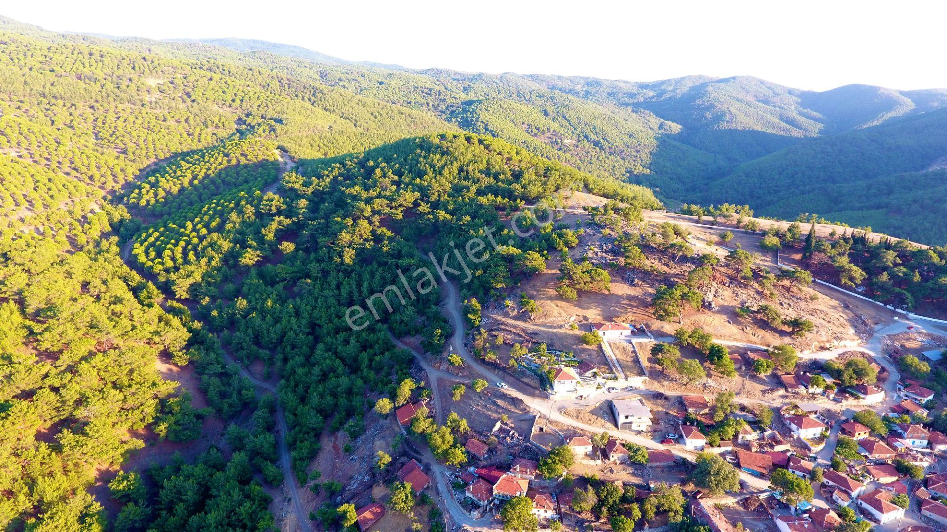 🟥aktiften Burhaniye Kuyumcuda Deniz Ve Doğa Manzaralı 878 M2 Satılık Arsa - Görsel 8