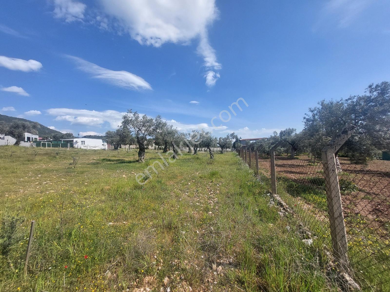 Buca Kırıklar Merkeze 600 Metre Mesafede 4760m2 Tarla - Görsel 15