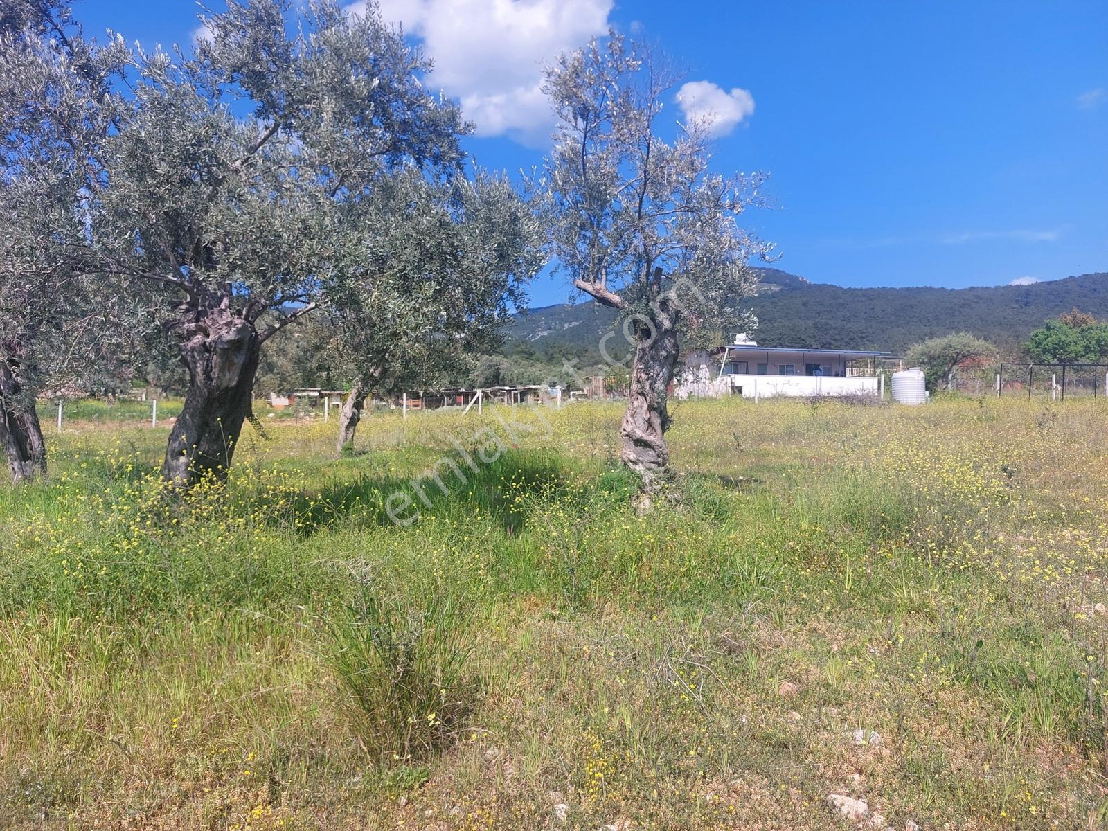 Buca Kırıklar Merkeze 600 Metre Mesafede 4760m2 Tarla - Görsel 18