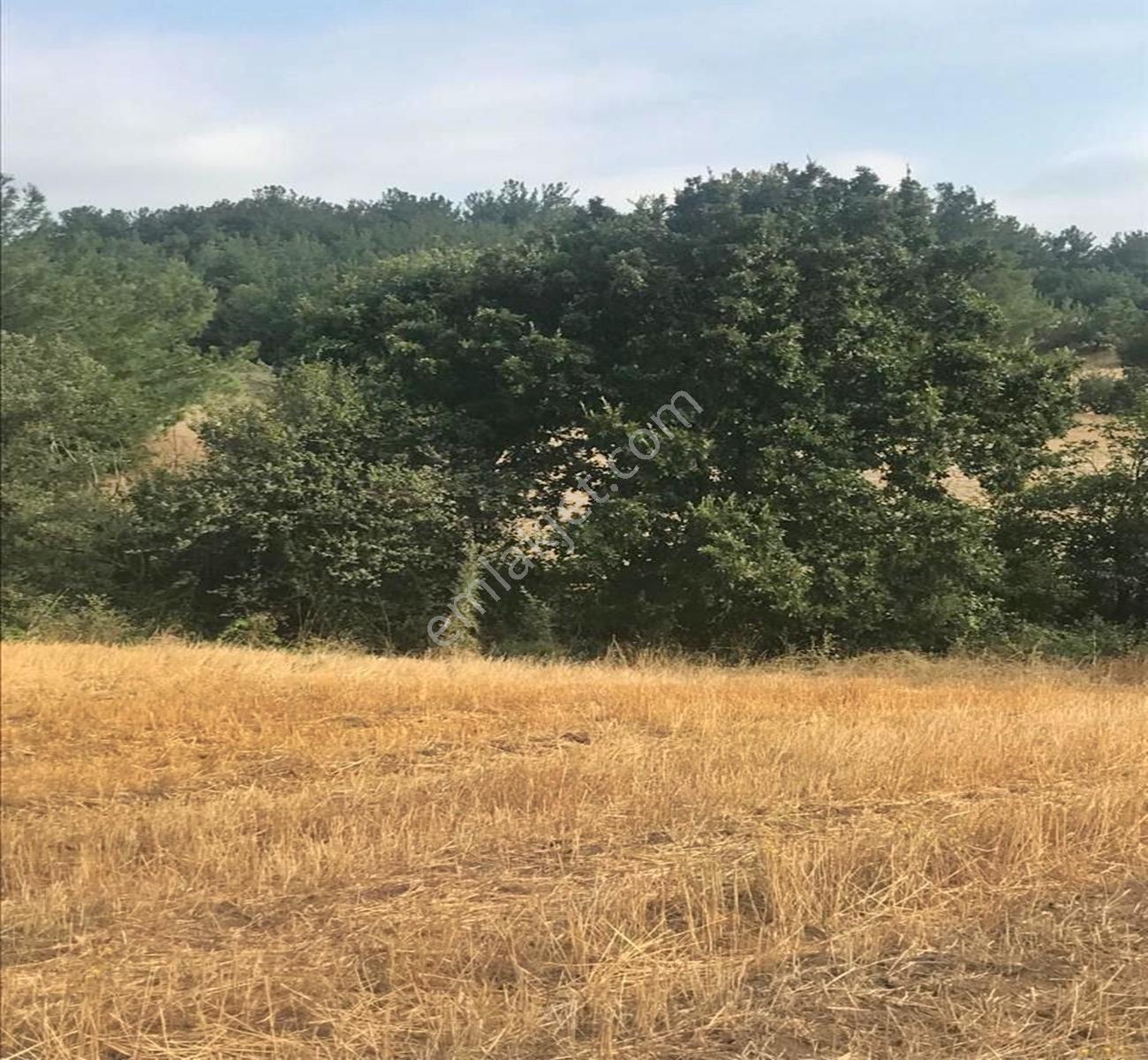 Çanakkale Lapseki'den Uygun Fiyatı İle Kaçırılmaz Tarla !!!! - Görsel 11