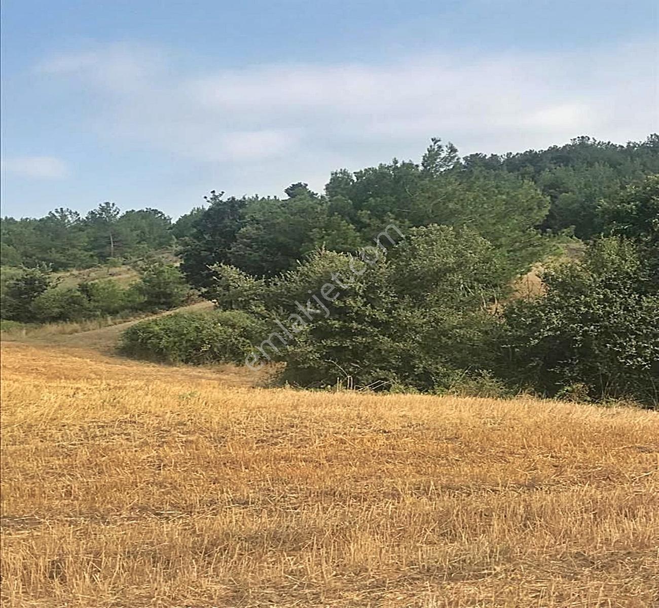 Çanakkale Lapseki'den Uygun Fiyatı İle Kaçırılmaz Tarla !!!! - Görsel 12