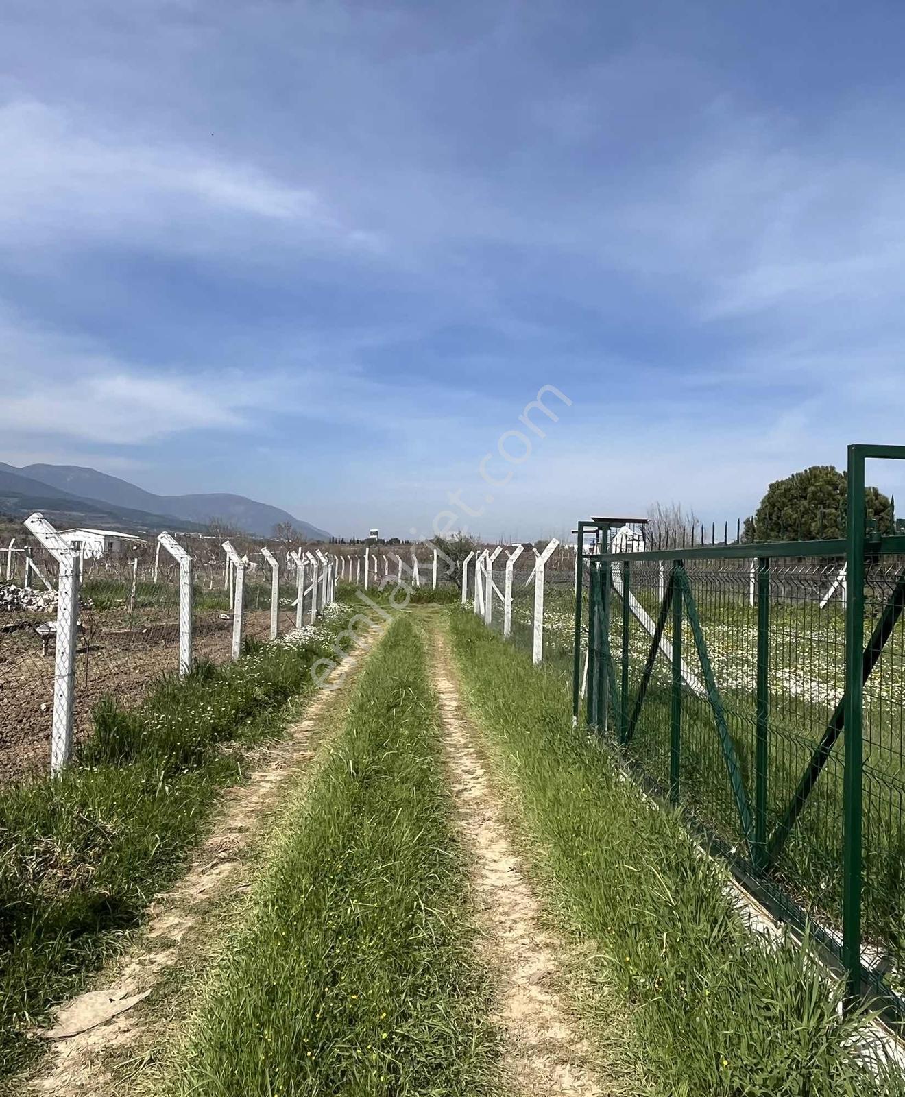 Manisa Sancaklı İğdecikte 557 M2 Tapulu Arsa ,sıfır Prefabrik Ev - Görsel 4