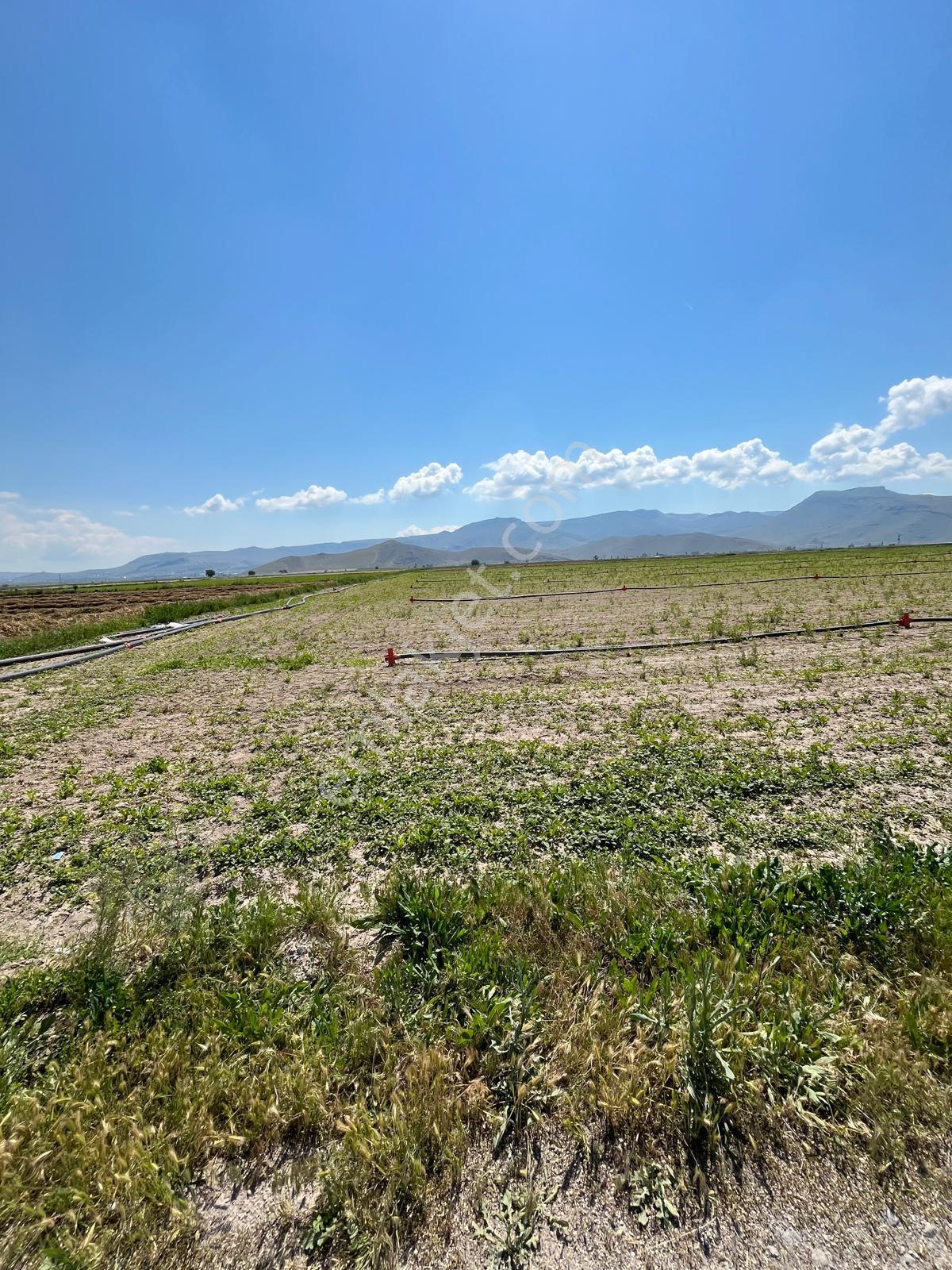 Öz Gaye Emlaktan Develi Sindelhöyük Çalılıyer Mevkinde Satılık Tarla