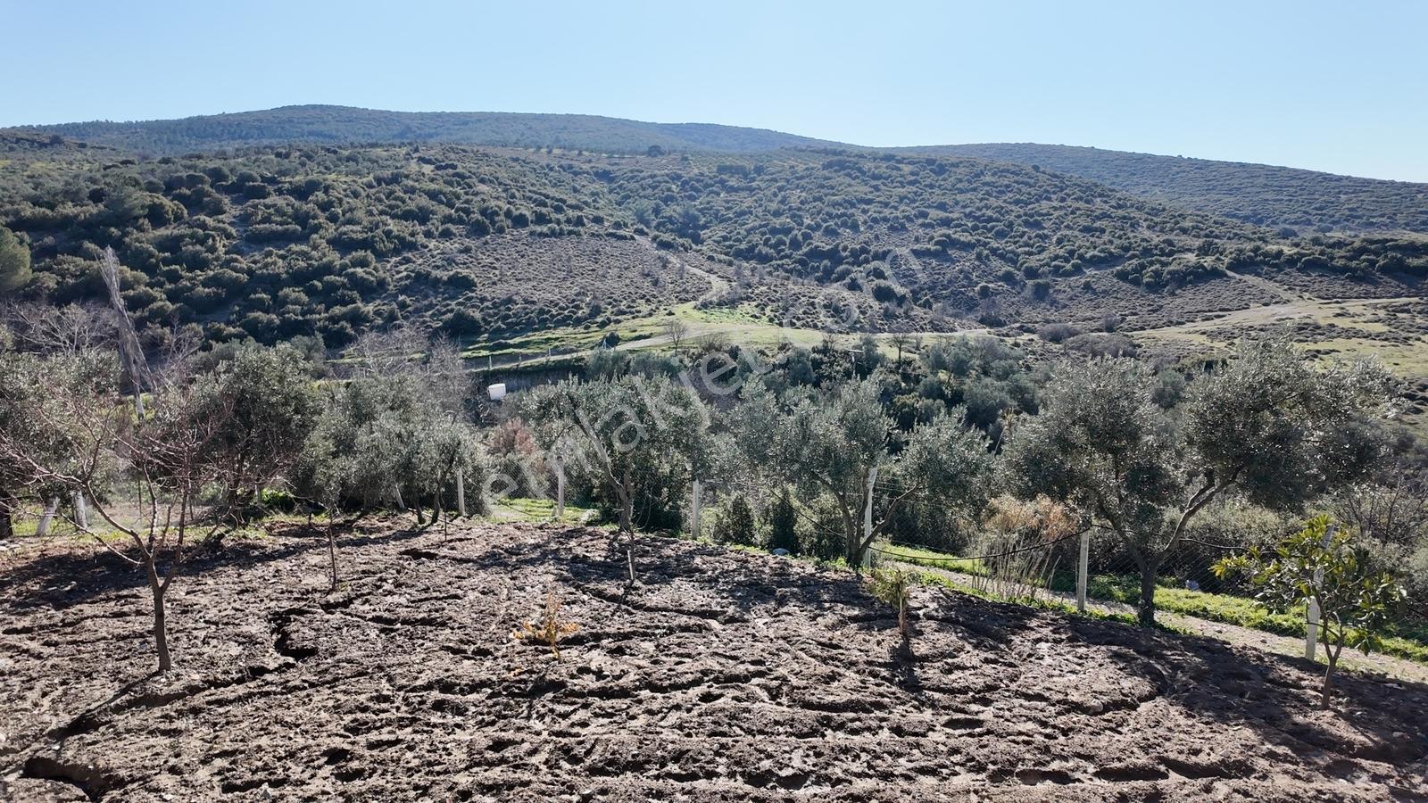 Kızlaralanı 589 M2 Arsa İçerisinde Ruhsatlı 120 M2 Villa - Görsel 16
