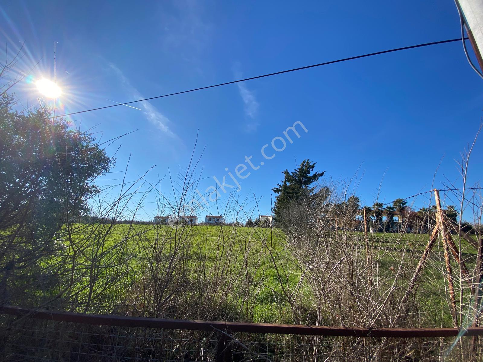 Fethiye Yanıklarda Deniz Manzaralı Narenciye Kokulu 725m2 Villa Parseli - Görsel 8