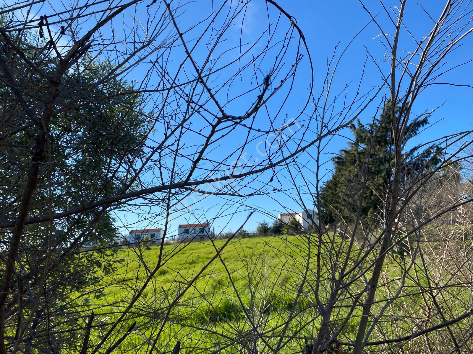 Fethiye Yanıklarda Deniz Manzaralı Narenciye Kokulu 725m2 Villa Parseli - Görsel 10