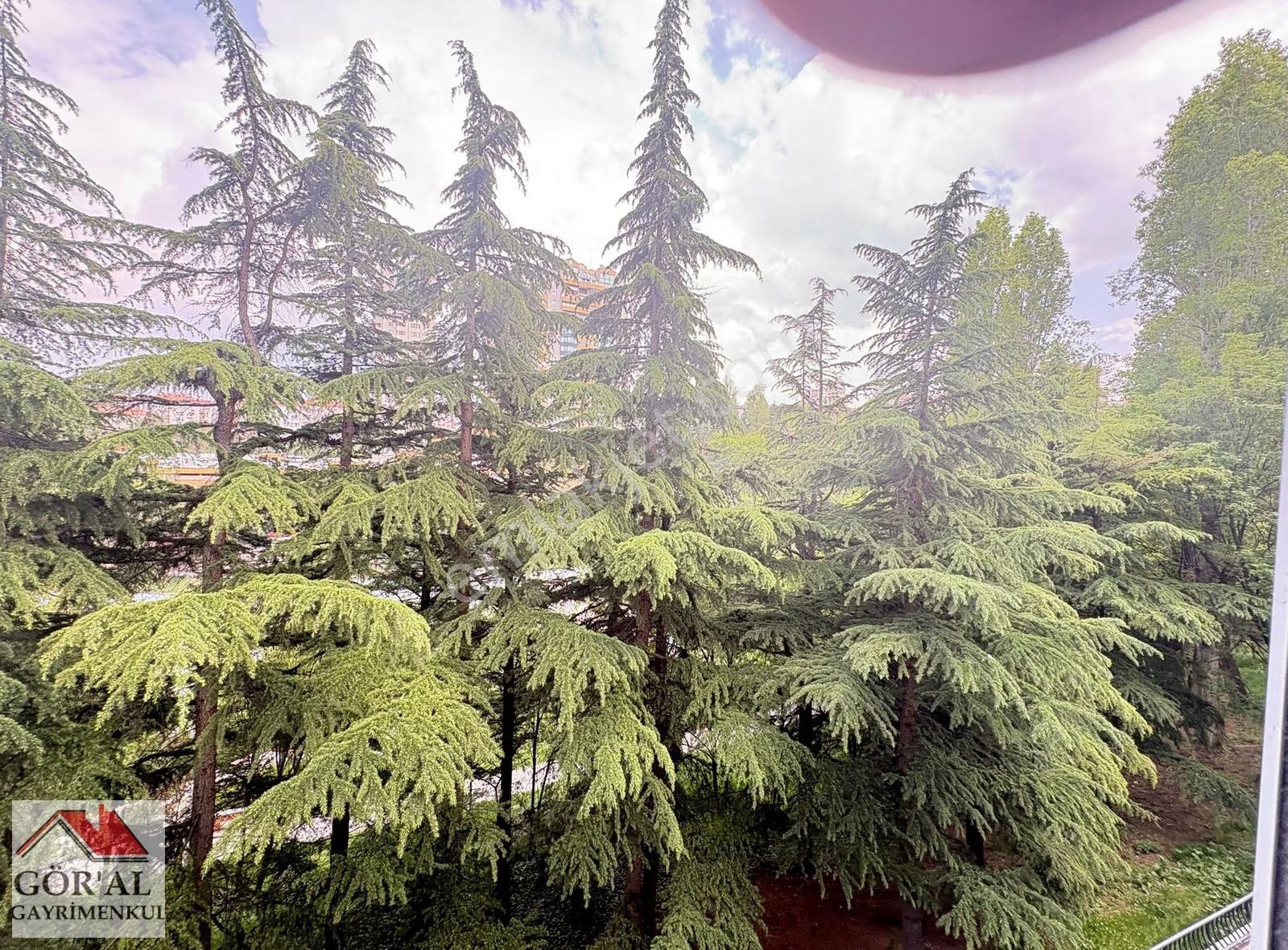 Göral Emlak 2+1 Boş Polis Evi Arkası Dikmen Vadi Blokların Da - Görsel 30