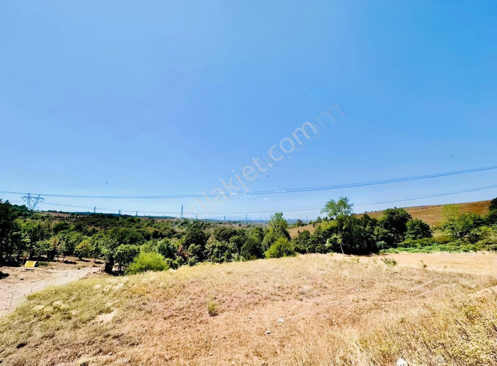 Gebze Denizli Köyünde 340 M2 Konut Arsası - Görsel 3