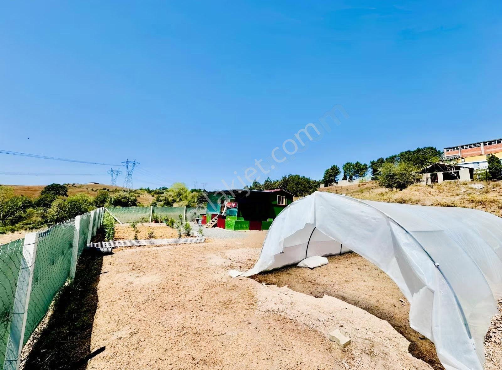 Gebze Denizli Köyünde 340 M2 Konut Arsası - Görsel 14