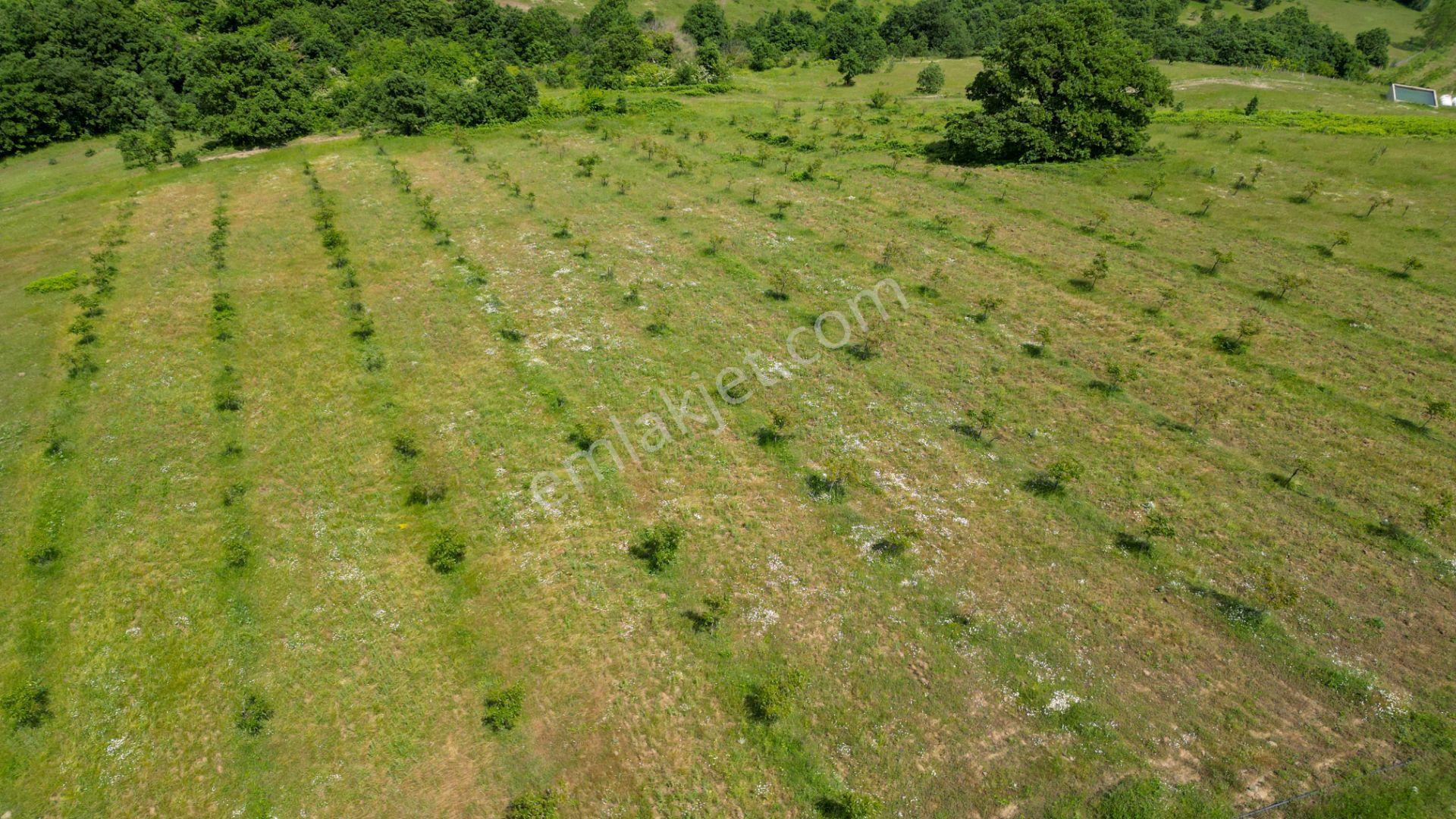 Uzmanlar'dan Fulacık %5 İmarlı 7532 M2 Satılık Tarla - Görsel 17