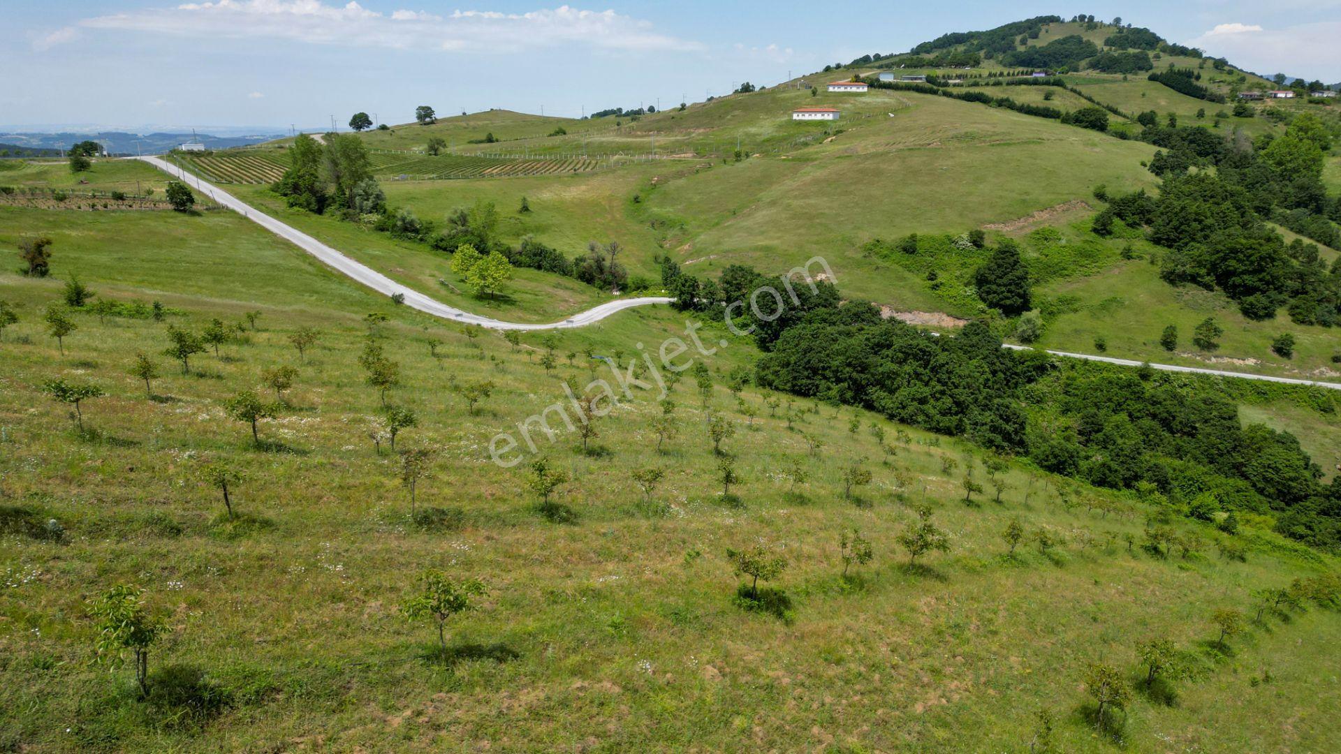 Uzmanlar'dan Fulacık %5 İmarlı 7532 M2 Satılık Tarla - Görsel 20