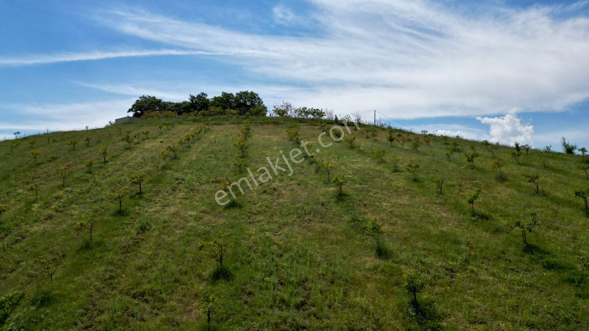 Uzmanlar'dan Fulacık %5 İmarlı 7532 M2 Satılık Tarla - Görsel 14