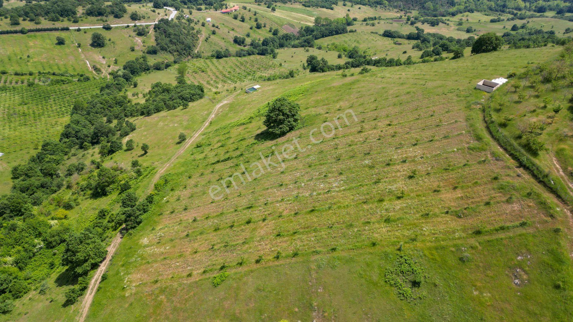 Uzmanlar'dan Fulacık %5 İmarlı 7532 M2 Satılık Tarla - Görsel 21