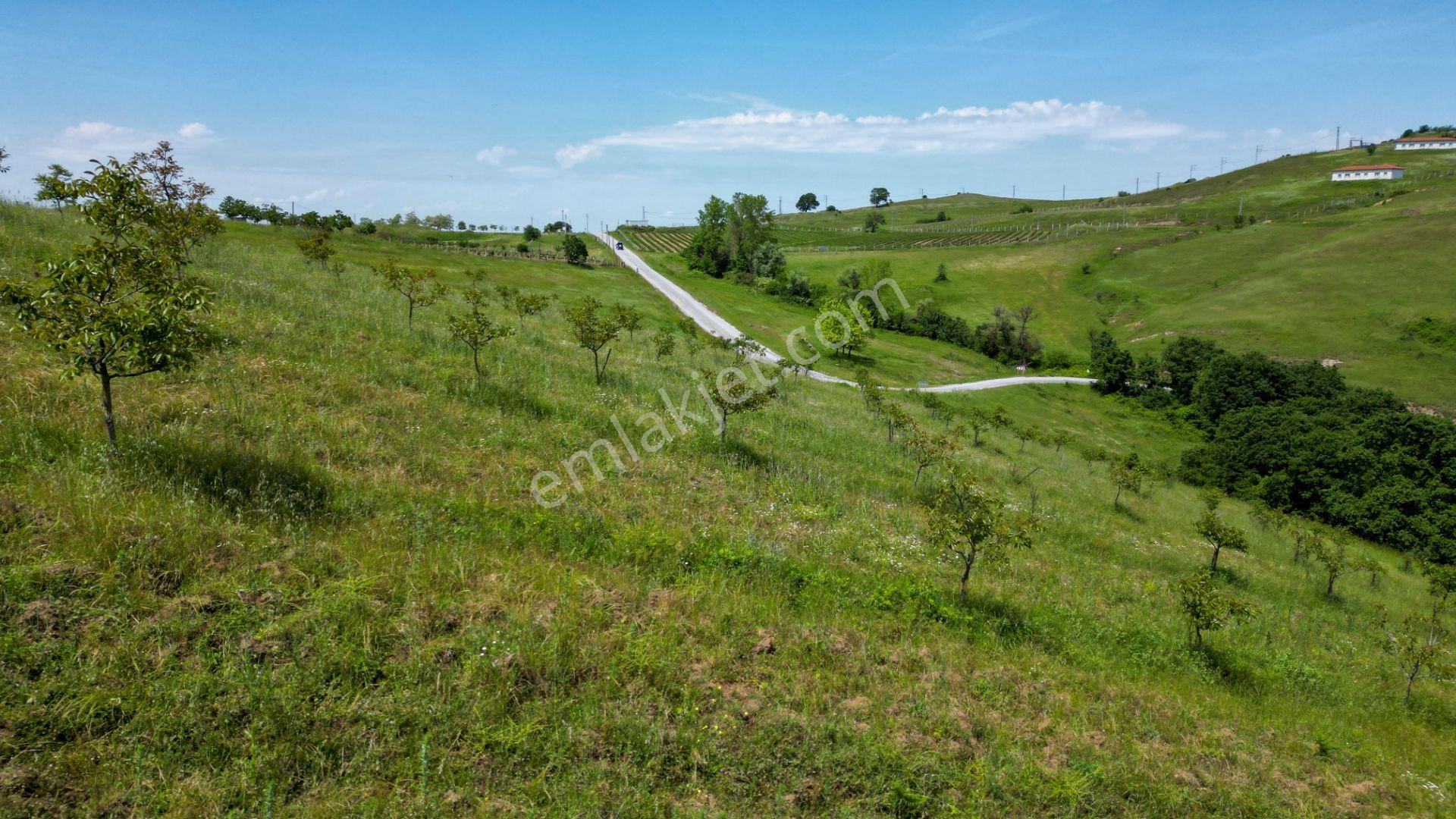 Uzmanlar'dan Fulacık %5 İmarlı 7532 M2 Satılık Tarla - Görsel 15