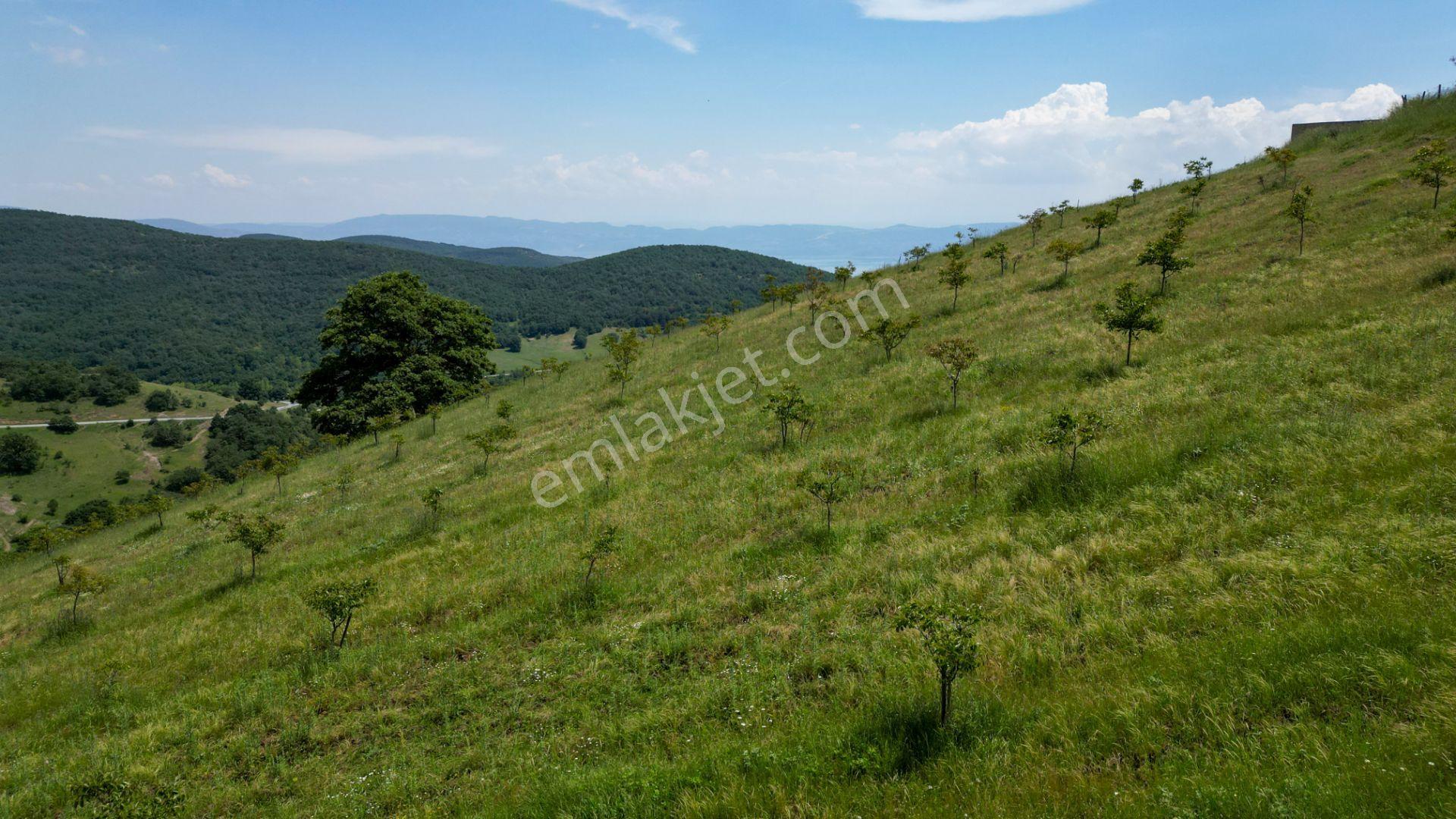 Uzmanlar'dan Fulacık %5 İmarlı 7532 M2 Satılık Tarla - Görsel 16