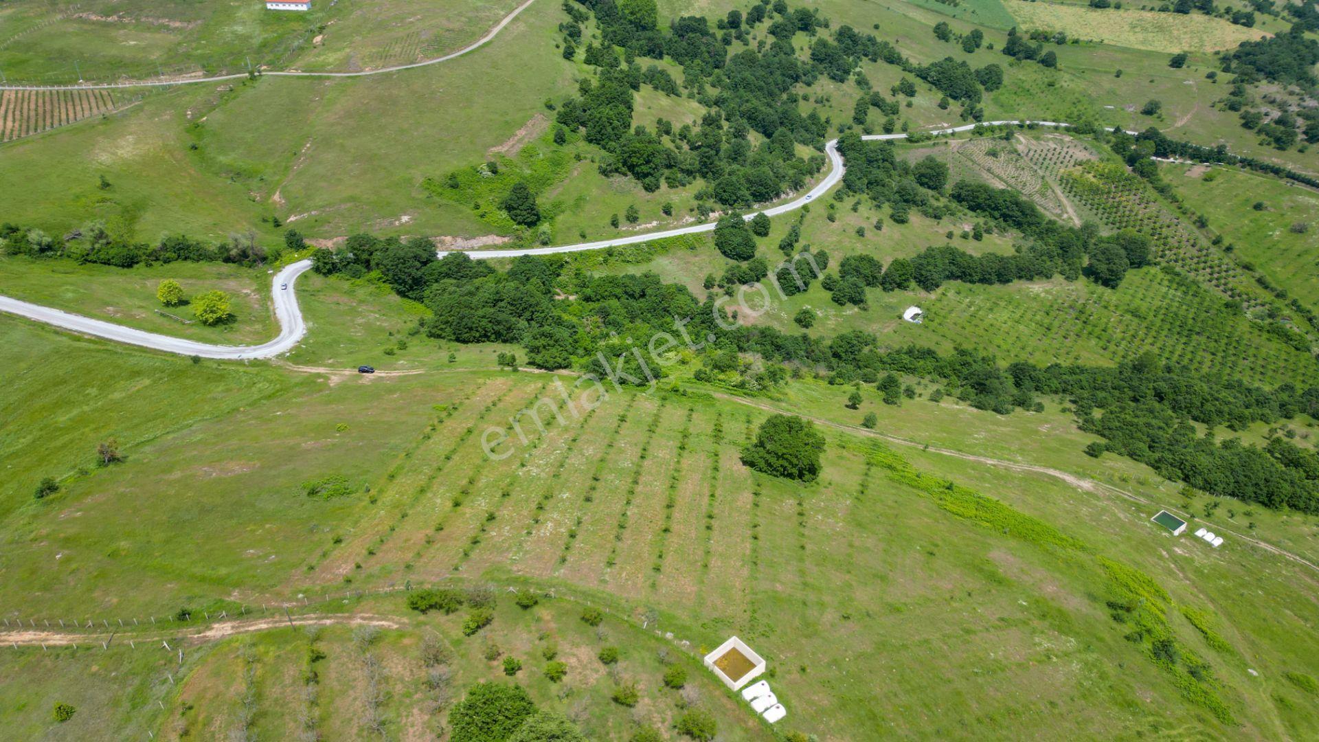 Uzmanlar'dan Fulacık %5 İmarlı 7532 M2 Satılık Tarla - Görsel 8